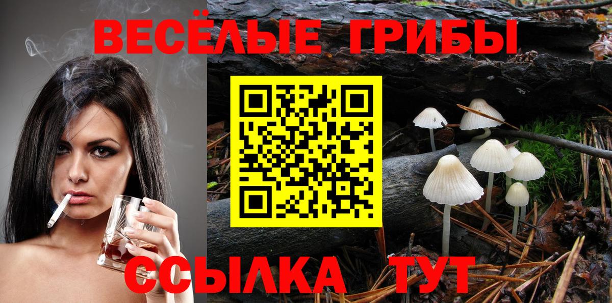 Галлюциногенные грибы MAGIC MUSHROOMS  Вход с VPN  Псилоцибиновые грибы MAGIC MUSHROOMS  где найти   Михайловка 