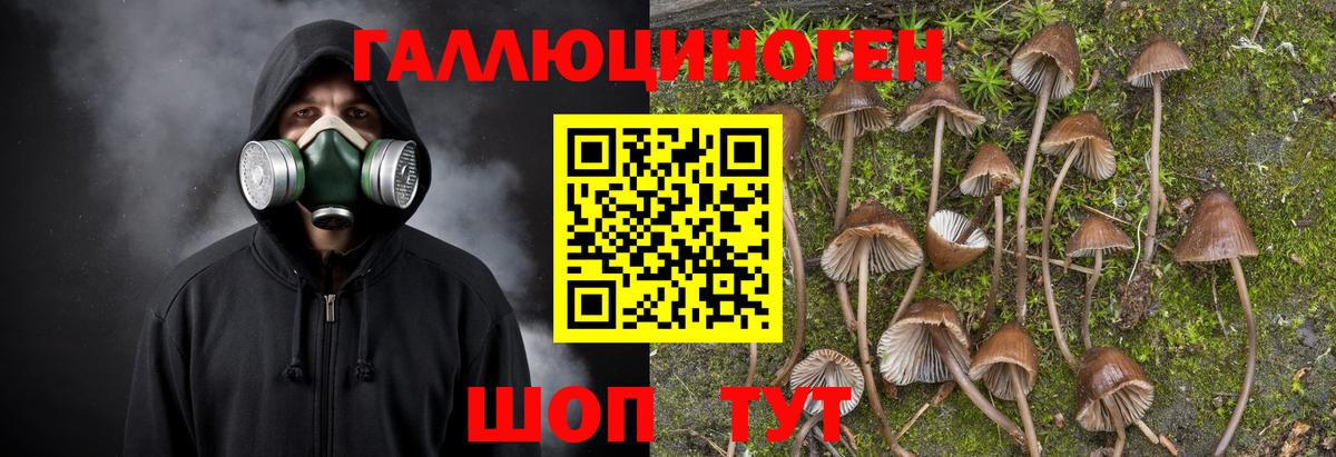 Галлюциногенные грибы ЛСД Михайловка